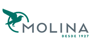 Molina Talent Creativity Room